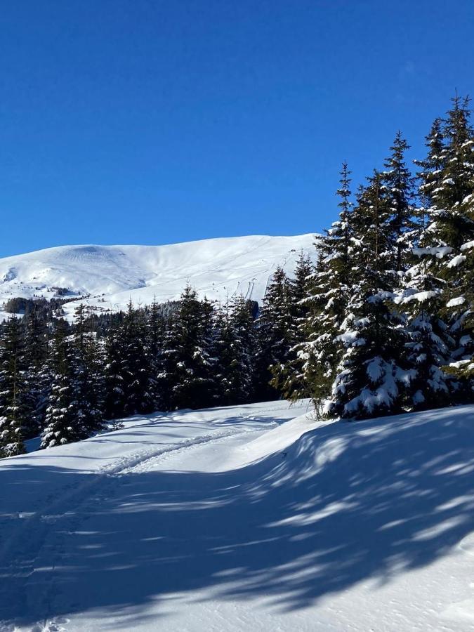 Holzknechthuette Villa Lachtal Dış mekan fotoğraf